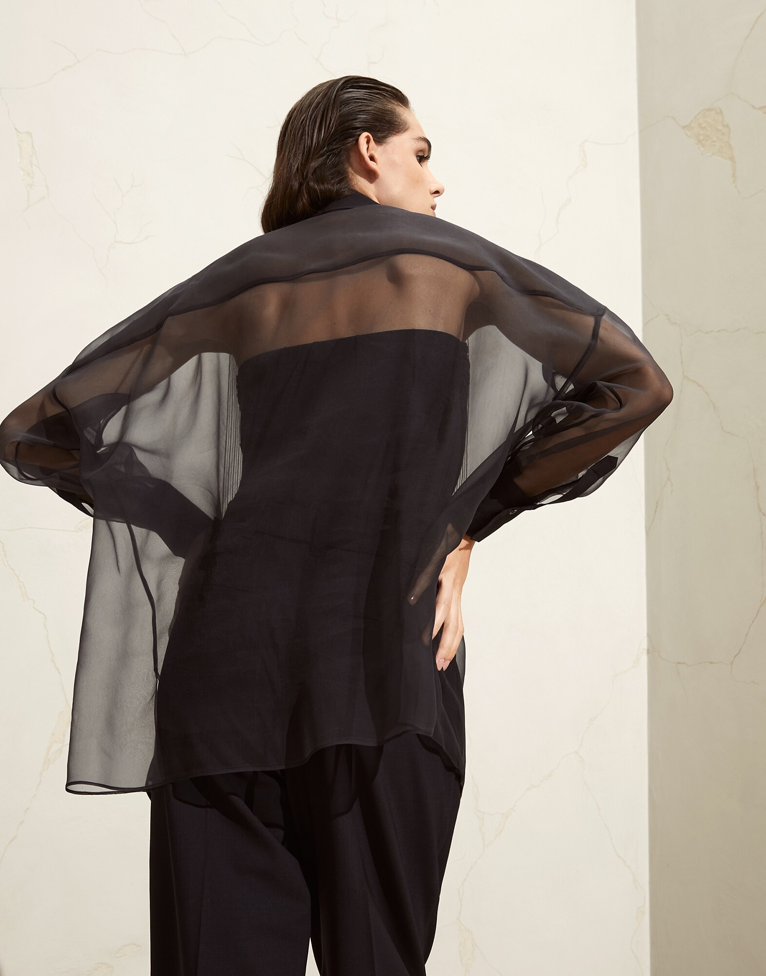 Silk Shirt - Back view