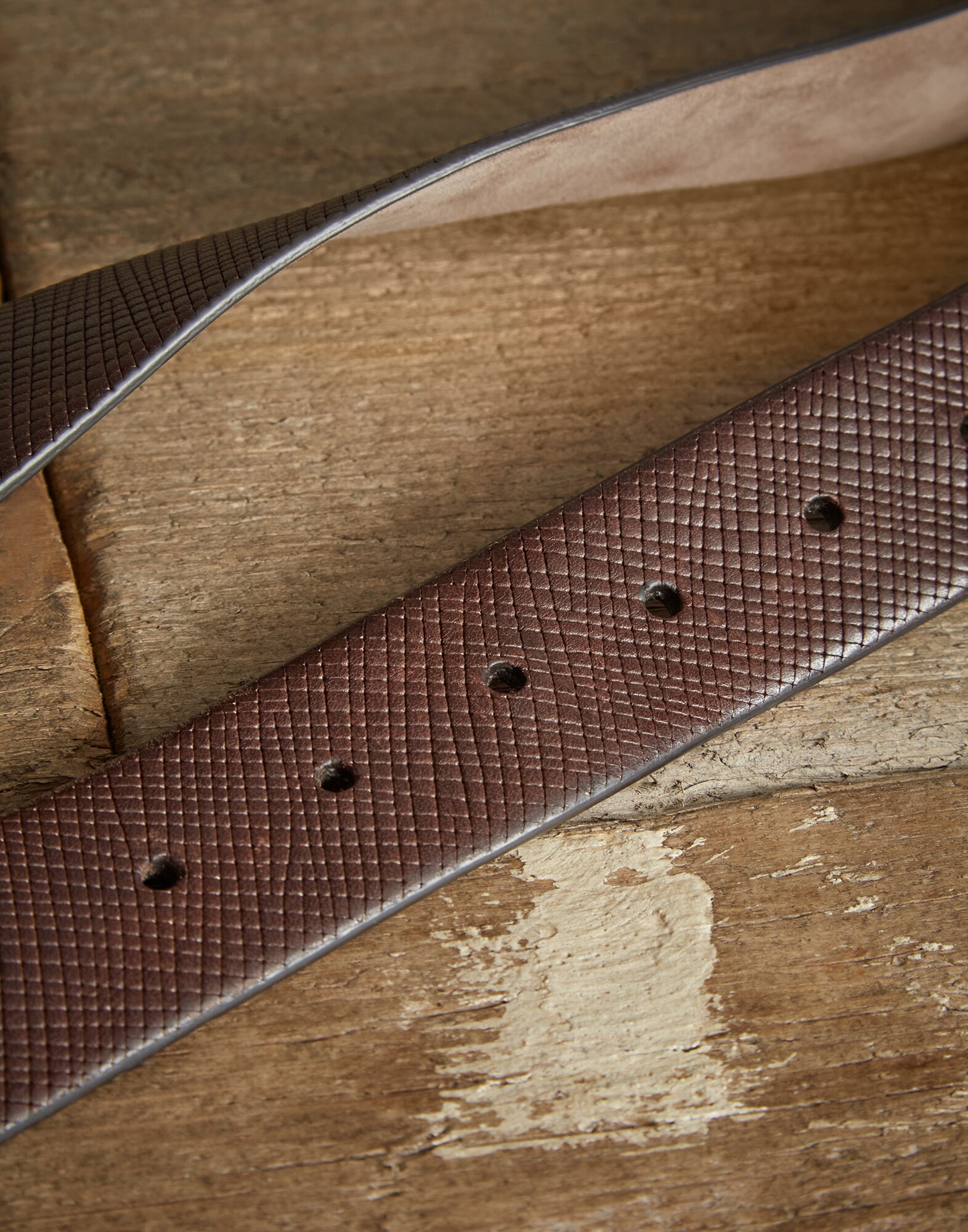 Belt - Back
