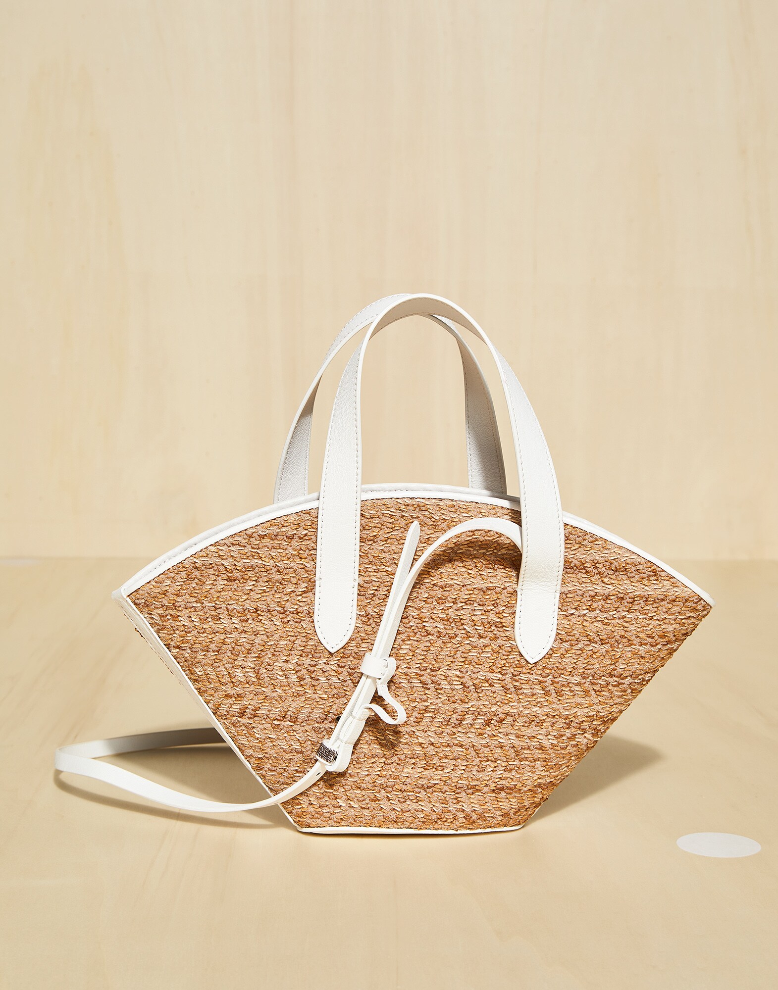 Crossbody Bag - Back view