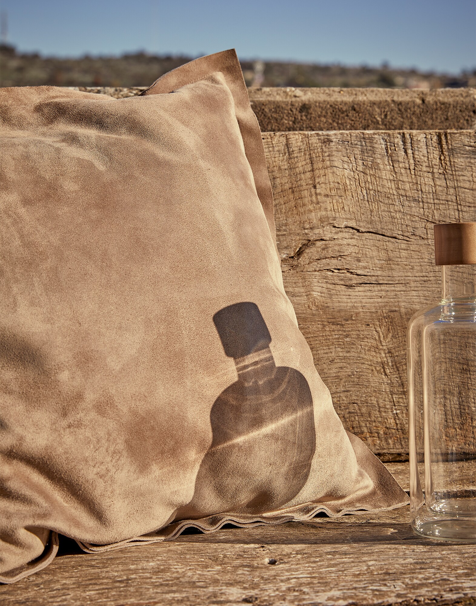 Leather Cushions - Editorial view